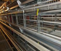 used hellmann cages