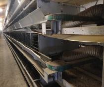 used helmann layer cages