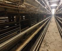 used hellmann poultry cages