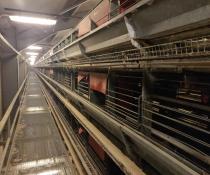 used hellmann layer cages