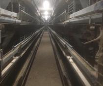 used big dutchman cages