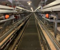 used layer cages