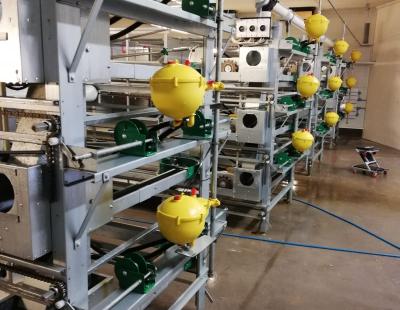 used hellmann reary cages